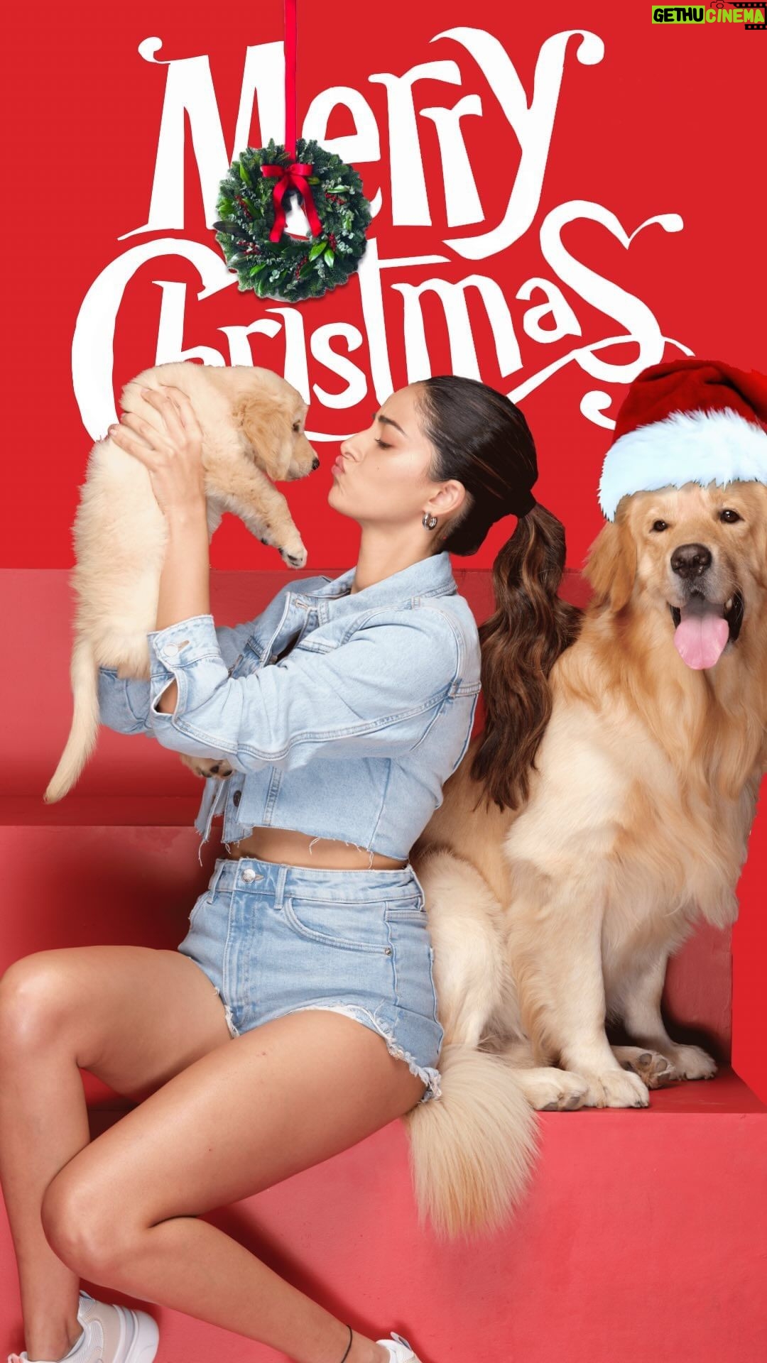 Ananya Panday Instagram - Wishing you and your furry friends a Merry Christmas and a Pawsome New Year! May the holiday season be filled with joy, laughter, and tail-wagging moments. š
š»šāļø Remember to shower your pets with love and Drools for a year filled with health, happiness, and unforgettable memories @droolsindia š¾ #droolsindia #newyear #christmas #pets #ad #collab