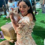 Ananya Panday Instagram - my definition of heaven - puppies & snakes .. my two fave animals 😍🐶🐍❤️