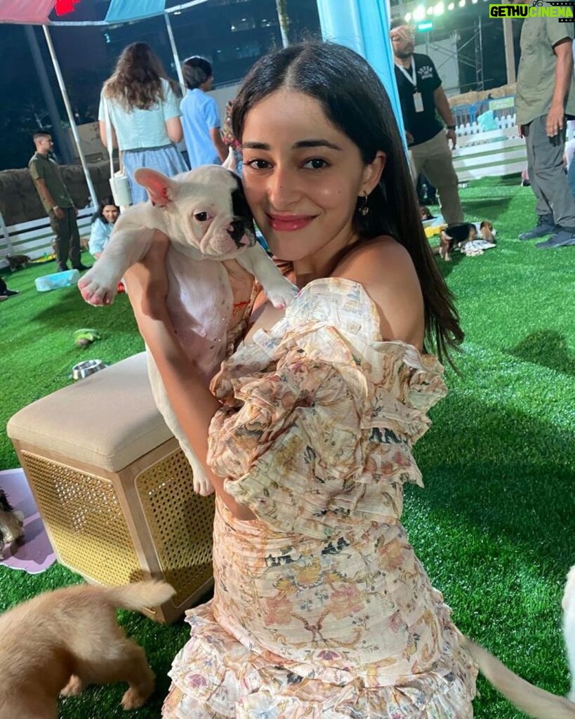 Ananya Panday Instagram - my definition of heaven - puppies & snakes .. my two fave animals 😍🐶🐍❤️