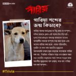 Angana Roy Instagram - "পারিয়া" নিয়ে কিছু কথা... #PariahTrivia #Pariah #পারিয়া Teaser আসছে ৩রা জানুয়ারী ২০২৪ "পারিয়া" নিয়ে কিছু কথা...❤️🐕 #PariahTrivia #Pariah #পারিয়া @tathagata_official_ @vikramchatterje @soumyamukhherjee @ambarish_bhattacharya @sreelekhamitraofficial @debashisroy1994 @shahir_raj @deboprasadhaldar @deuttaran @avik_maity @ranajoybhattacharjee @ritam_sane @anindit_roy @adeepsinghmanki @space_junk23 #RajatDolui #RajeshKannan #Mohanda #Poulami @mitaapal @sudipanchakraborty @lopon.magical @sengupta.joyeeta @ovinobo_ghosh @prateekchakravorty @dreams_on_sale @pramodfilms