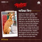 Angana Roy Instagram - "পারিয়া" নিয়ে কিছু কথা...❤️🐕 #PariahTrivia #Pariah #পারিয়া @tathagata_official_ @vikramchatterje @soumyamukhherjee @ambarish_bhattacharya @sreelekhamitraofficial @debashisroy1994 @shahir_raj @deboprasadhaldar @deuttaran @avik_maity @ranajoybhattacharjee @ritam_sane @anindit_roy @adeepsinghmanki @space_junk23 #RajatDolui #RajeshKannan #Mohanda #Poulami @mitaapal @sudipanchakraborty @lopon.magical @sengupta.joyeeta @ovinobo_ghosh @prateekchakravorty @dreams_on_sale @pramodfilms
