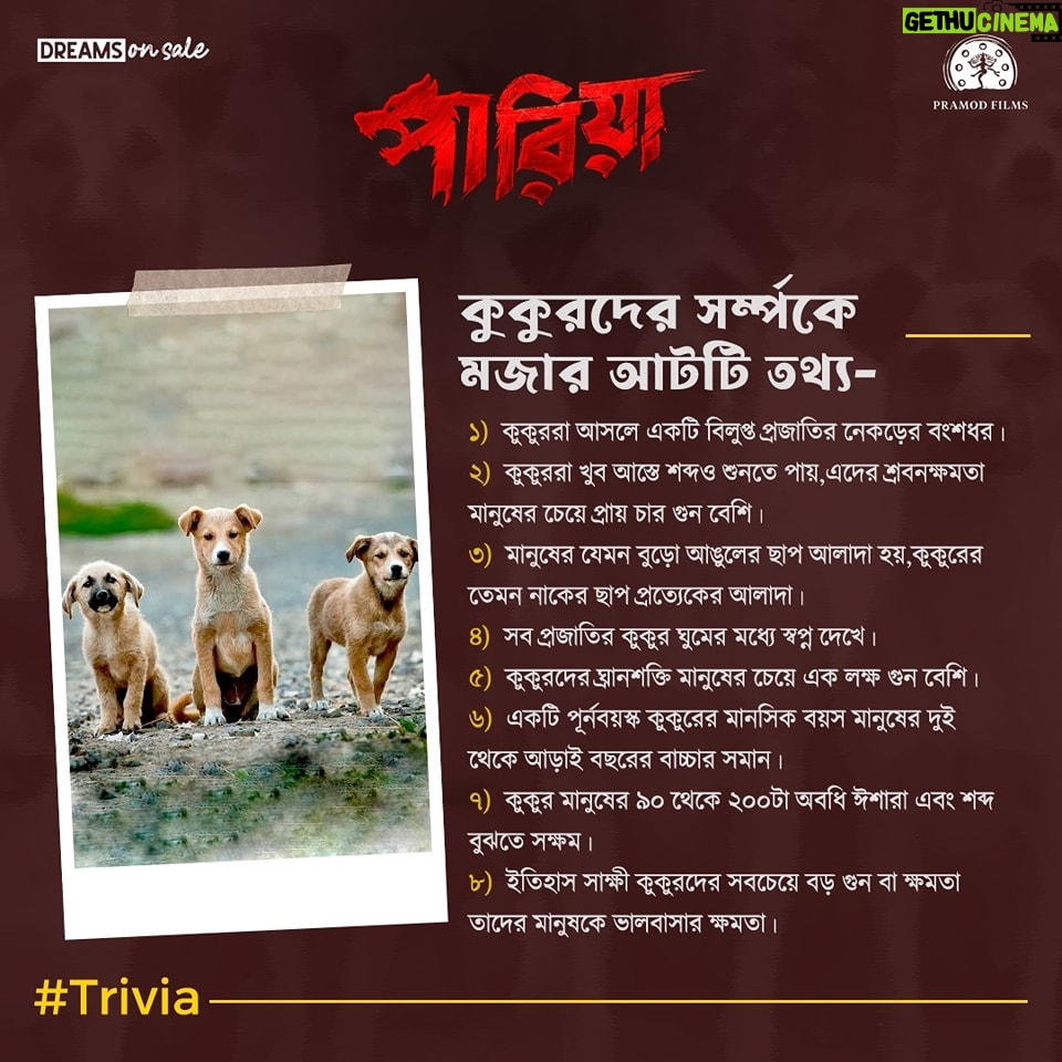 Angana Roy Instagram - আমাদের চারপেয়ে বন্ধুদের নিয়ে মজার তথ্য- #PariahTrivia #Pariah #পারিয়া Teaser আসছে ৩রা জানুয়ারী ২০২৪ @tathagata_official_ @vikramchatterje @soumyamukhherjee @ambarish_bhattacharya @sreelekhamitraofficial @debashisroy1994 @shahir_raj @deboprasadhaldar @deuttaran @avik_maity @ranajoybhattacharjee @ritam_sane @anindit_roy @adeepsinghmanki @space_junk23 #RajatDolui #RajeshKannan #Mohanda #Poulami @mitaapal @sudipanchakraborty @lopon.magical @sengupta.joyeeta @ovinobo_ghosh @prateekchakravorty @dreams_on_sale @pramodfilms