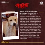 Angana Roy Instagram - "পারিয়া" নিয়ে কিছু কথা... #PariahTrivia #Pariah #পারিয়া Teaser আসছে ৩রা জানুয়ারী ২০২৪ "পারিয়া" নিয়ে কিছু কথা...❤️🐕 #PariahTrivia #Pariah #পারিয়া @tathagata_official_ @vikramchatterje @soumyamukhherjee @ambarish_bhattacharya @sreelekhamitraofficial @debashisroy1994 @shahir_raj @deboprasadhaldar @deuttaran @avik_maity @ranajoybhattacharjee @ritam_sane @anindit_roy @adeepsinghmanki @space_junk23 #RajatDolui #RajeshKannan #Mohanda #Poulami @mitaapal @sudipanchakraborty @lopon.magical @sengupta.joyeeta @ovinobo_ghosh @prateekchakravorty @dreams_on_sale @pramodfilms