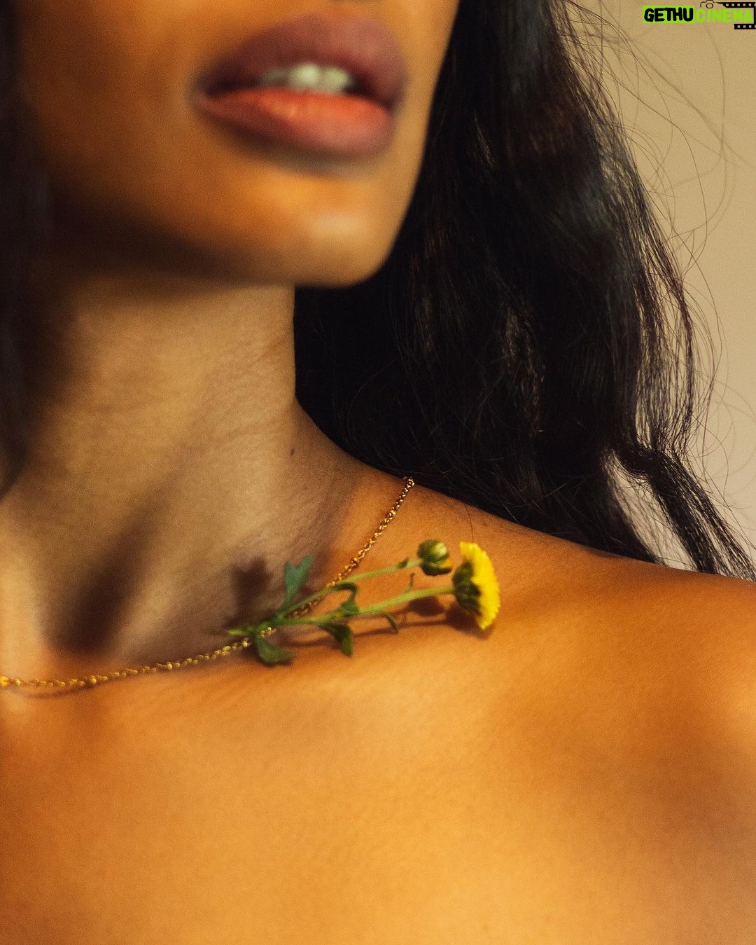 Anjali Patil - 5.5K Likes - The tenderness I hold in between my breaths is actually Radium.
When I swallow, it glows inside my skin.
It kills me slowly but
I prefer the glowing death than a lightless life.
Picture Poems by @_surreal__