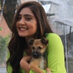Anjali Tatrari Instagram - Meet “Tin Tin” 🐶 Met him a couple of days back on the set and I might be completely in love with him 🥹 Those innocent eyes 👀 📸 - @_irfan__beg__777_ #anjalitatrari #puppy #tintin #yuvikamahajan #vanshaj
