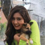 Anjali Tatrari Instagram - Meet “Tin Tin” 🐶 Met him a couple of days back on the set and I might be completely in love with him 🥹 Those innocent eyes 👀 📸 - @_irfan__beg__777_ #anjalitatrari #puppy #tintin #yuvikamahajan #vanshaj