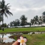Anjali Tatrari Instagram - Goa dump : Part 1 🐒 #anjalitatrari South Goa
