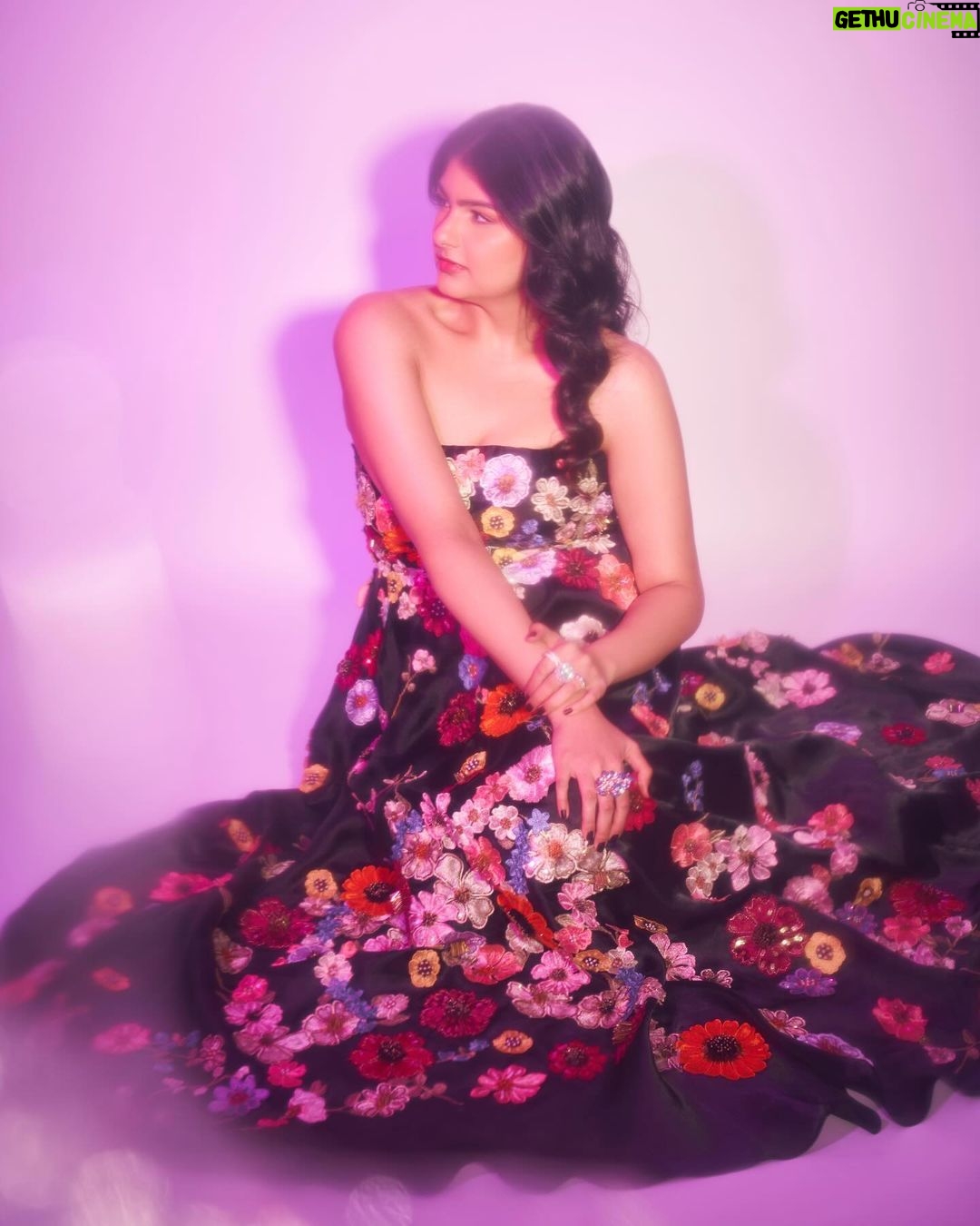 Anshula Kapoor Instagram - Felt cuter than a guldasta last night πβΊοΈ Styled by @shereenlovebug with assistance from @snehhasuresh @riaasthana @jahnavi.kothari Makeup: @divyashetty_ Hair: @ruchithakur.5 πΈ @visualaffairs_va π: @labelamoda.in π: @anmoljewellers π: @tedbaker π‘: @shoprivr.in