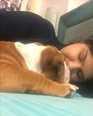 Anshula Kapoor Instagram - No matter how many times you experience the death of someone you love, It still doesn’t prepare you for the next time you loose someone. 

My bundle of joy, the happiest bulldog ever, the most loving, the most caring gol matol left us yesterday. It’s been a day and it still hasn’t sunk in. I don’t know how long it will take for it to hit me. Every loss hits hard, every loss knocks the wind out of you.. and you’re never prepared. 
We love you Max. Always and forever. I know mom Choco and Fubu will take good care of you on the other side. And I hope they keep you surrounded by an endless supply of peanut butter, chicken, dahi and apples. 

Thank you for loving us unconditionally, during our darkest times and during our best times. Home is not the same without you. Love you forever my Maxalulu 🤍♾️