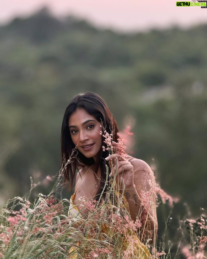 Anukreethy Vas Instagram - Watching sunsets enjoying the golden hour amidst flowers is one of my favourite things to do 🌅 🌺 🌷 . Last from this series I promise 🙈 . Captured by @kothapalli.bhaskar 📸 . Dress from @labelritukumar 👗 . #sunset #goldenhour #anukreethyvas #kollywood #kollywoodcinema #kollywoodactress #tollywood #tollywoodactress #trending #explore #explorepage Hyderabad