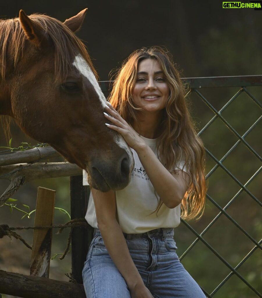 Anusha Dandekar Instagram - If you ain’t got no giddy up then giddy out my way… Be Kind. Be Brave. Be Wild.🤍 #Bach @thebackwatersanctuary @thebisonkabini