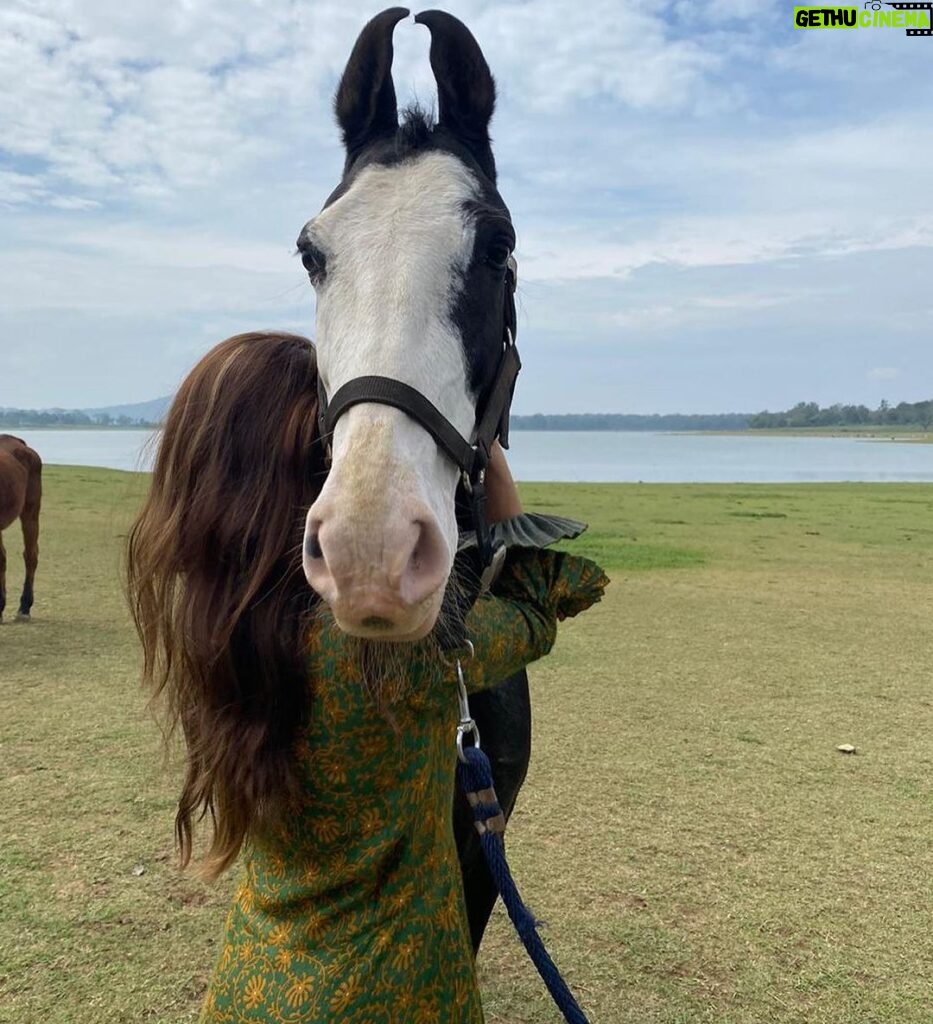 Anusha Dandekar Instagram - To hug a horse is like hugging the most pure soul on earth… 🐴❤️ @thebackwatersanctuary where my incredible bestie helps these beautiful souls run free. ✨ ❤️
