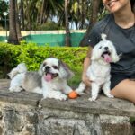 Anusha Dandekar Instagram - Dogs/ Animals, really do change your life in more ways than you can imagine and what they can teach you, show you without words is just incredible. I thank my babies everyday for how they’ve helped me grow. ❤️ My only advice is be really sure that you have time for them because they don’t ask for anything but patience, love and most importantly you… don’t hurry their walks or play time, take days off to be with them, they are your babies and part of your family. Do not keep them locked up or locked out. I was not ready for paw babies because my lifestyle is unpredictable… but it happened. It took a long time for me to adjust because I was constantly shooting and so stressed how they were feeling… so please do not gift anyone an animal unless you know they are ready and able… it’s not fair on the animal or person, ever! I had to learn to adjust, I was their mum now and over years I slowly got the hang of it, had many break downs but my babies would always tell me I’m doing okay… so I got up & tried again. I learnt everything on the way… when the babies are sick, vet visits, training, when the little one wants to pee indoors, how they communicate, play time, food time, bed time, spoke to a dog whisperer. They are just like human babies! The lockdown was also so intense… My Angel Mum has also helped me so very much, I don’t know what I would have done without her. Monster is almost 8! And Gangsta is 4 and today I can finally say we created a lifestyle that works for all of us and it’s a happy one. 🫠🥹🧿 And to my staff who love them like their own🩷 To add to the happiness I want to give a huge Thankyou to Tanya and her assistant Arup… Tanya has built the happiest place on earth where my babies are just Thriving… my heart bursts, along with theirs every week when I take them here @thecanine.club it’s literally Disney land for dogs! I can’t thank Tanya and this place enough… Monster is so active and he’ll do just about anything for a toy! Gangsta has over come his fear of jumping and heights and is just starting to look as confident as his big bro, for any amount of chicken 😅… I think I wished for this place so much… Just the two of them and I … ❤️🥹❤️