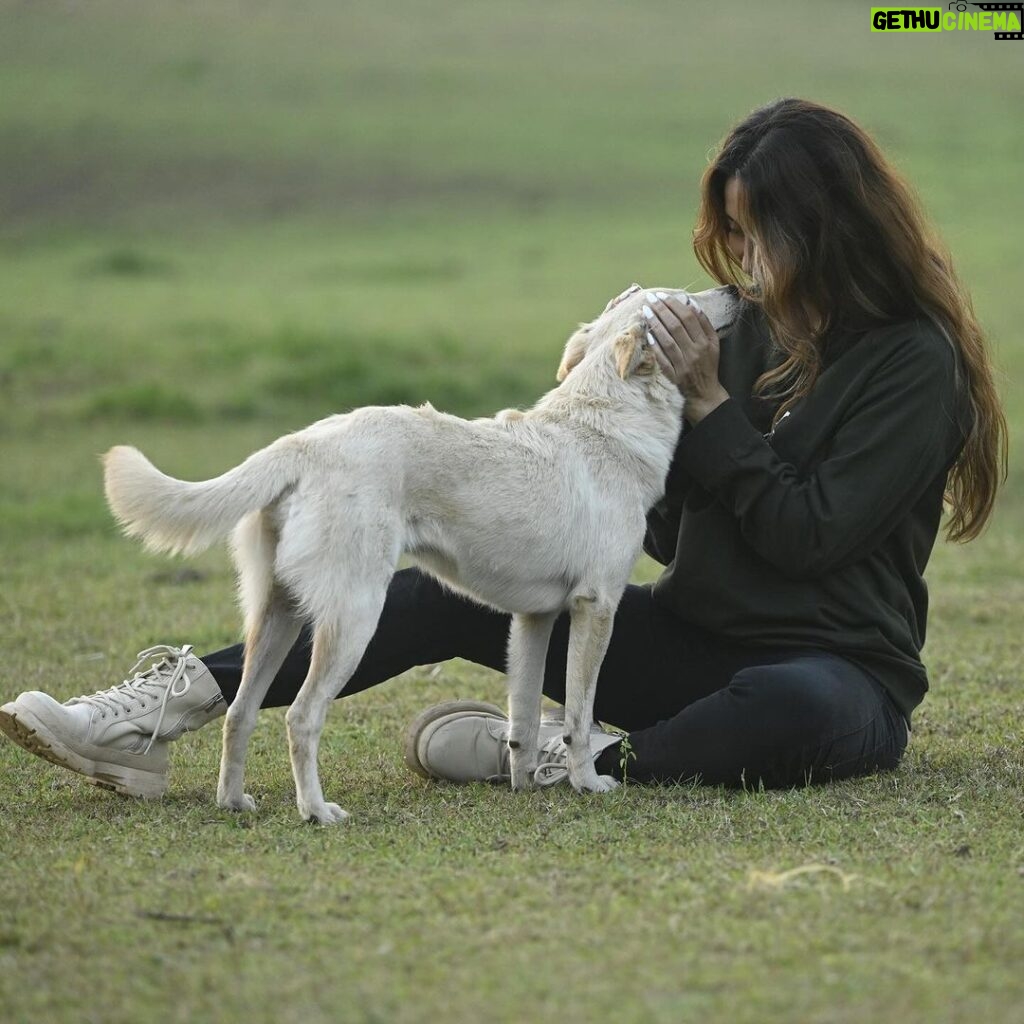 Anusha Dandekar Instagram - Have you ever loved an Animal? It’s Unconditional… 🤍 Like this sweet girl, meet Lychee (we think that’s her name) although she never responds to it but she does to a whole bunch of love and cuddles… it’s not possible to meet a sweeter soul. My heart hurts ❤ Errr don’t tell Monster and Gangsta that 🙆🏽‍♀ @thebackwatersanctuary teaches us all about loving animals.. we can wear their merch too! Go grab yours from the insta handle and know all proceeds go to saving, rescuing and giving new life to ones who can’t speak and ask for help themselves 🥹🤍 #bekind #bebrave #bewild