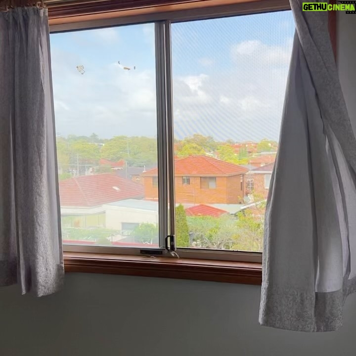 Anusha Dandekar Instagram - Will forever be my favourite window and view… 🪟 ❤️ with the sticker I never bothered removing as I got older and the curtains I never changed, even though they weren’t me but mum had got them from India, so I painted my room purple instead to go with it hehe… no one liked that but I loved it! Oh & the big purple stain on the carpet is still there coz of my terrible painting skills.. 🧑🎨 They had to repaint my room coz they couldn’t sell it with that color 💜🥹 I’ll miss coming home… to you. 💔