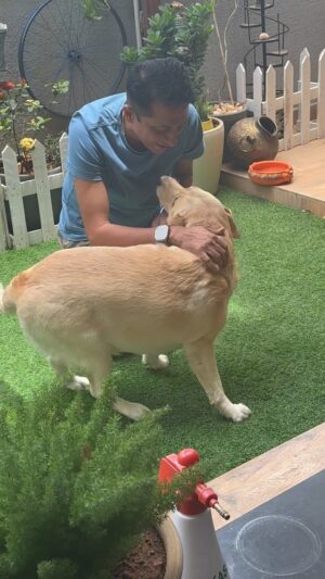 Archana Chandhoke Instagram - This happened the last month when Vineet came home for a week! We dint tell Simba that daddy was home.. vineet came into the house and we wanted to see if Simba would know !! And he did!! 

The most loving souls know when their soulmates arrive !!