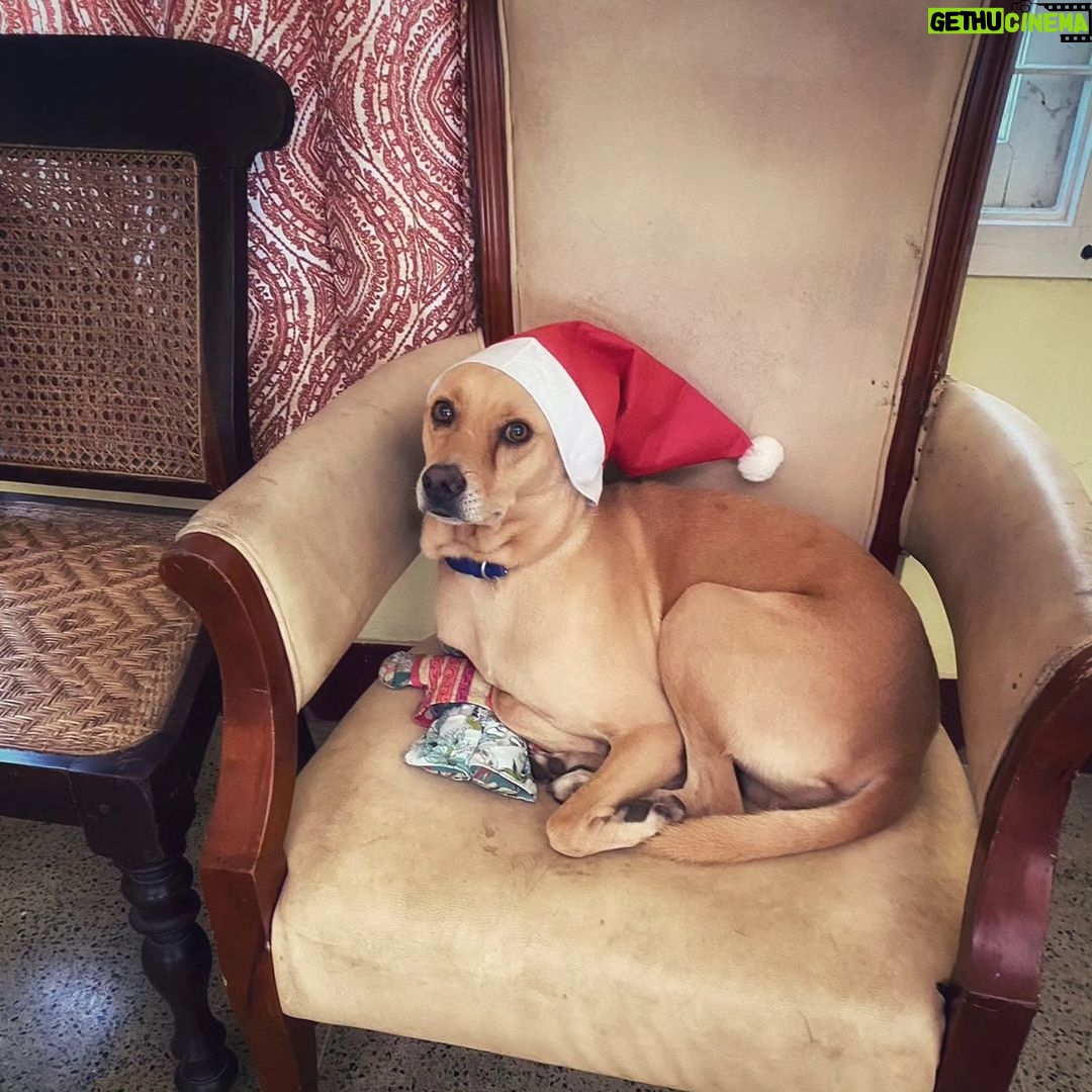 Archana Kavi Instagram - We are Christmas ready. What about you?chri Kochi, India