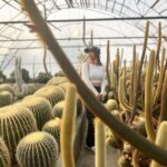 Ariah Agarwal Instagram - Feelin prickly 🌵 . . . . #sikkim #kalimpong #gangtok #cactus #traveldiary