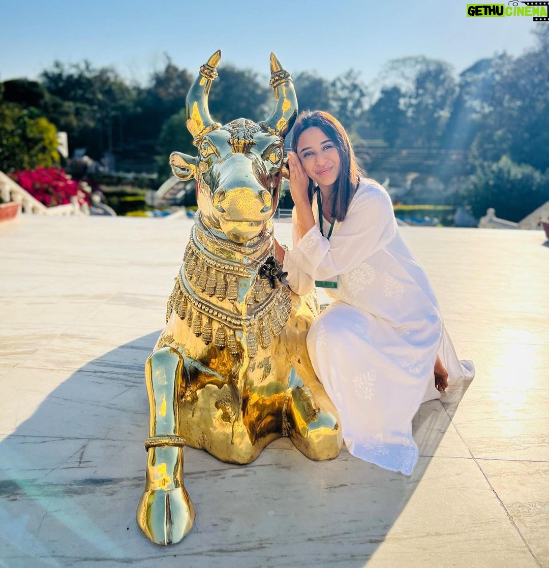 Ariah Agarwal Instagram - Holy cow!!! 🐮 Meet my new friend Nandii 💛😁🕉️ Art of Living International Center, Bengaluru