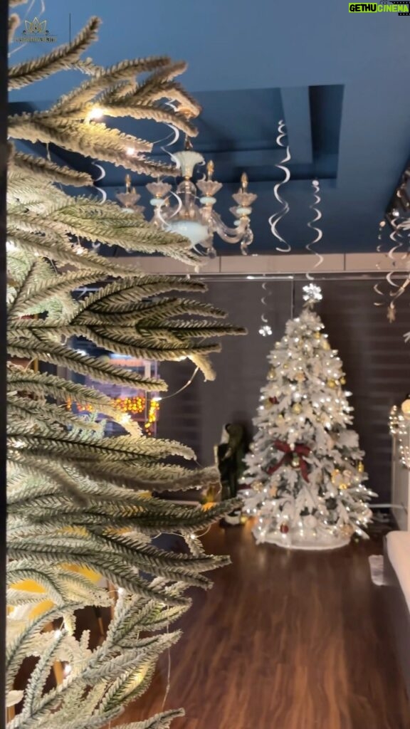 Arya Instagram - And our fav season of the year is finally here!! Setting our Christmas vibes right with this beautiful store decor for the festive season.. We are so obsessed with this decor and the season that we decided to share a glimpse with our dearest customers… supporters.. and well wishers ...And we are super excited as this our first Christmas season at the store 🩷 May we all have an amazing Christmas this year with lots of love .. peace and happiness 🎄🧑🏻‍🎄 Store location: Athani, Kakkanad, Cochin. #christmas #2023 #christmasdecor #festiveseason #favorite #lights #stars #mistletoe #sleigh #saree #store #decor #interior #snow #frozen #supportsmallbusiness Kochi