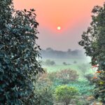 Ashima Narwal Instagram - December Diaries (2023) : 🧳 Evenings & Sunsets #wintersun #december2023 #december Love Ashima Bhadana