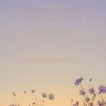 Ashima Narwal Instagram -