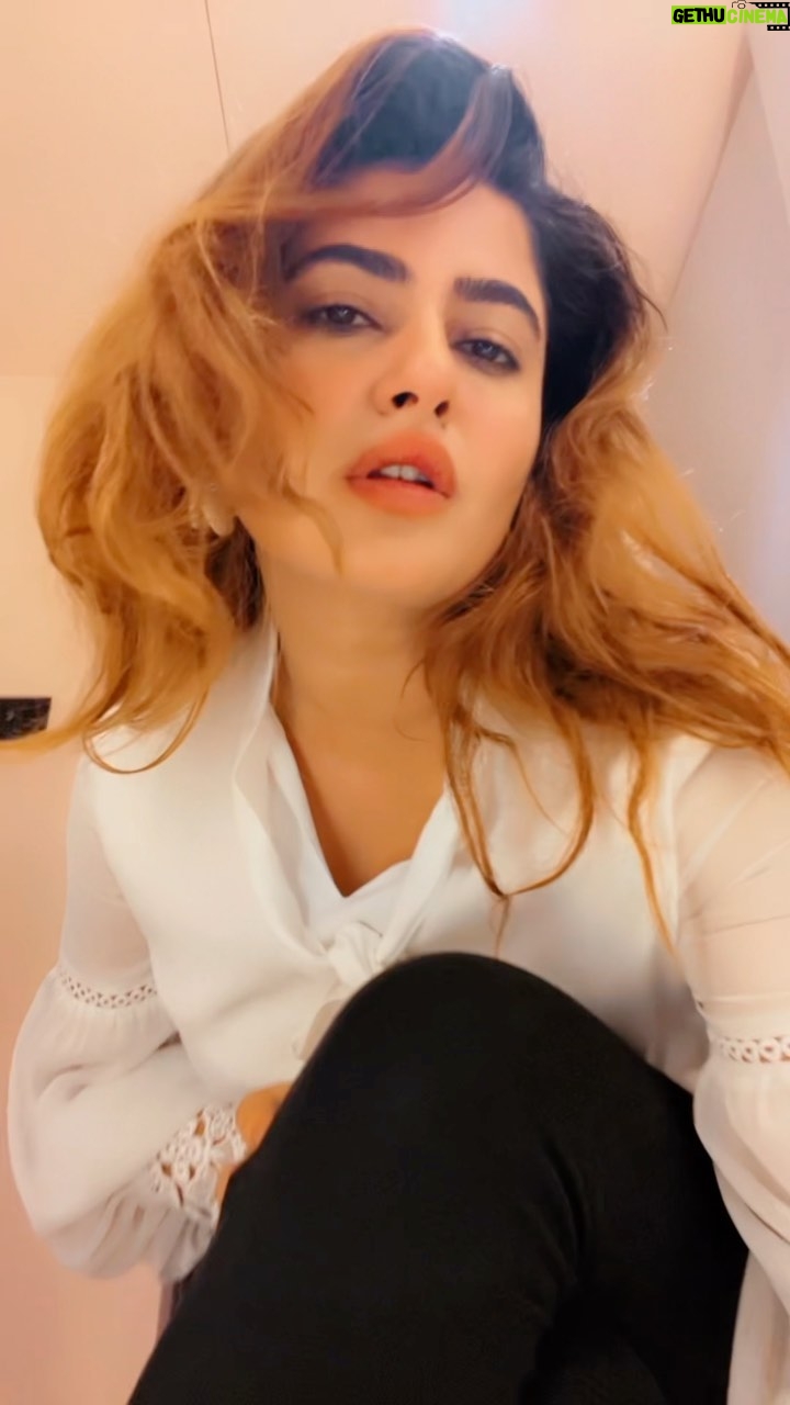 Ashima Narwal Instagram - Monday vibes!! Love Ashima #loveashima #ashima #ashimanarwal #tollywood #kollywood #ig_india #ig_hyderabad #ig_banglore #sundaythings #oldhindisongs #maroonoutfit #butterflies🦋 #drakememes #mondaymood #mondayhyderabad #blushlips #goldenhair Hyderabad