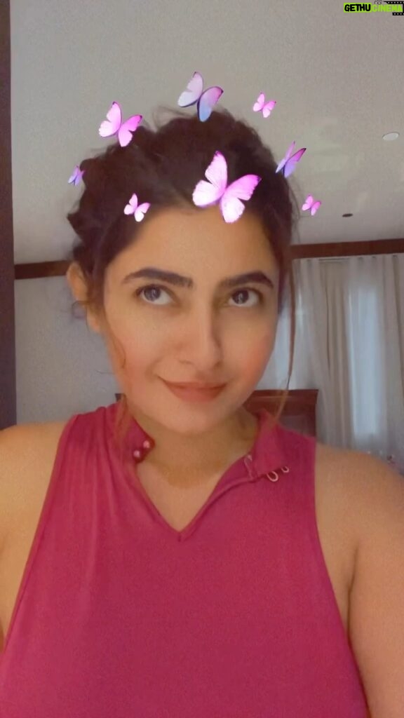 Ashima Narwal Instagram - Butterflies!! 🦋 Love Ashima #loveashima #ashima #ashimanarwal #tollywood #kollywood #ig_india #ig_hyderabad #ig_banglore #sundaythings #oldhindisongs #maroonoutfit #butterflies🦋 Hyderabad