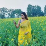 Ashima Narwal Instagram - He is late!!! 💛 #ashima #ashimanarwal #ashimanarwalsaree#tollywoodactress #kollywoodactress #ᴛᴏʟʟʏᴡᴏᴏᴅ #kolllywoodmovies #misssydney #misselegance #winterstyle ##rohtakcity #goldenhair #winterdiaries #ig_india #ig_channai #ig_banglore #ig_mumbai #wintersofindia India
