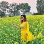 Ashima Narwal Instagram - 💛 #sarson #ig_haryana #ig_indiashots #ashima #ashimanarwal #saree #tollywood #kollywoodcinema #kollywoodactresses #kollywoodactressbeauty #ig_hyderabad #ig_sydney #ig_chennai #bhadana Bhadana
