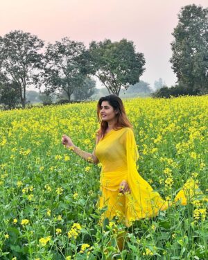 Ashima Narwal Instagram - 💛

#sarson #ig_haryana #ig_indiashots #ashima #ashimanarwal #saree #tollywood #kollywoodcinema #kollywoodactresses #kollywoodactressbeauty #ig_hyderabad #ig_sydney #ig_chennai #bhadana