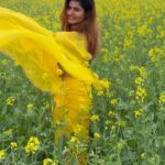 Ashima Narwal Instagram – To witness the beauty of nature is one of the pleasures in life. 

Love 

Ashima 🌼 

#sarson #ig_haryana #ig_indiashots #ashima #ashimanarwal #saree #tollywood #kollywoodcinema #kollywoodactresses #kollywoodactressbeauty #ig_hyderabad #ig_sydney #ig_chennai #bhadana Haryana