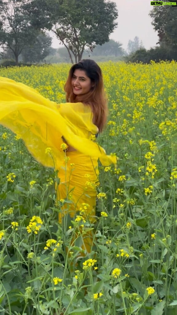 Ashima Narwal Instagram - To witness the beauty of nature is one of the pleasures in life. Love Ashima 🌼 #sarson #ig_haryana #ig_indiashots #ashima #ashimanarwal #saree #tollywood #kollywoodcinema #kollywoodactresses #kollywoodactressbeauty #ig_hyderabad #ig_sydney #ig_chennai #bhadana Haryana