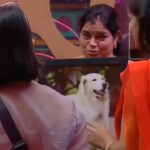 Ashwini Sree Instagram - Sonu ❤️ #BiggBoss #BiggBossTelugu #BiggBoss7Telugu #BiggBossSeason7 #BiggBoss7TeluguUpdates #DisneyplusHotstar #Hotstar #Starmaa #Trending #TrendingReels #Explore #Viral #ViralReels #Instagram #biggboss #biggboss7telugu #starmaa #maa #ashwiniisree #ashwini #Arabianhorse #sree