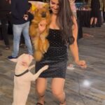Ashwini Sree Instagram - My love for animals🤗🥰😘❤️ #birthday #party #réel #reelsinstagram #reels #instagood #bigboss #bigboss7 #telugu #tollywood #dimple #cute #dogsofinstagram #doglover #dog #random #ashu #ashwini #trending #love #tflers #bigbosstelugu