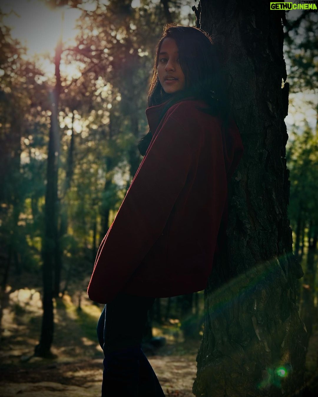 Aurra Bhatnagar Badoni Instagram - 🌳✨Into the wild ✨🌳