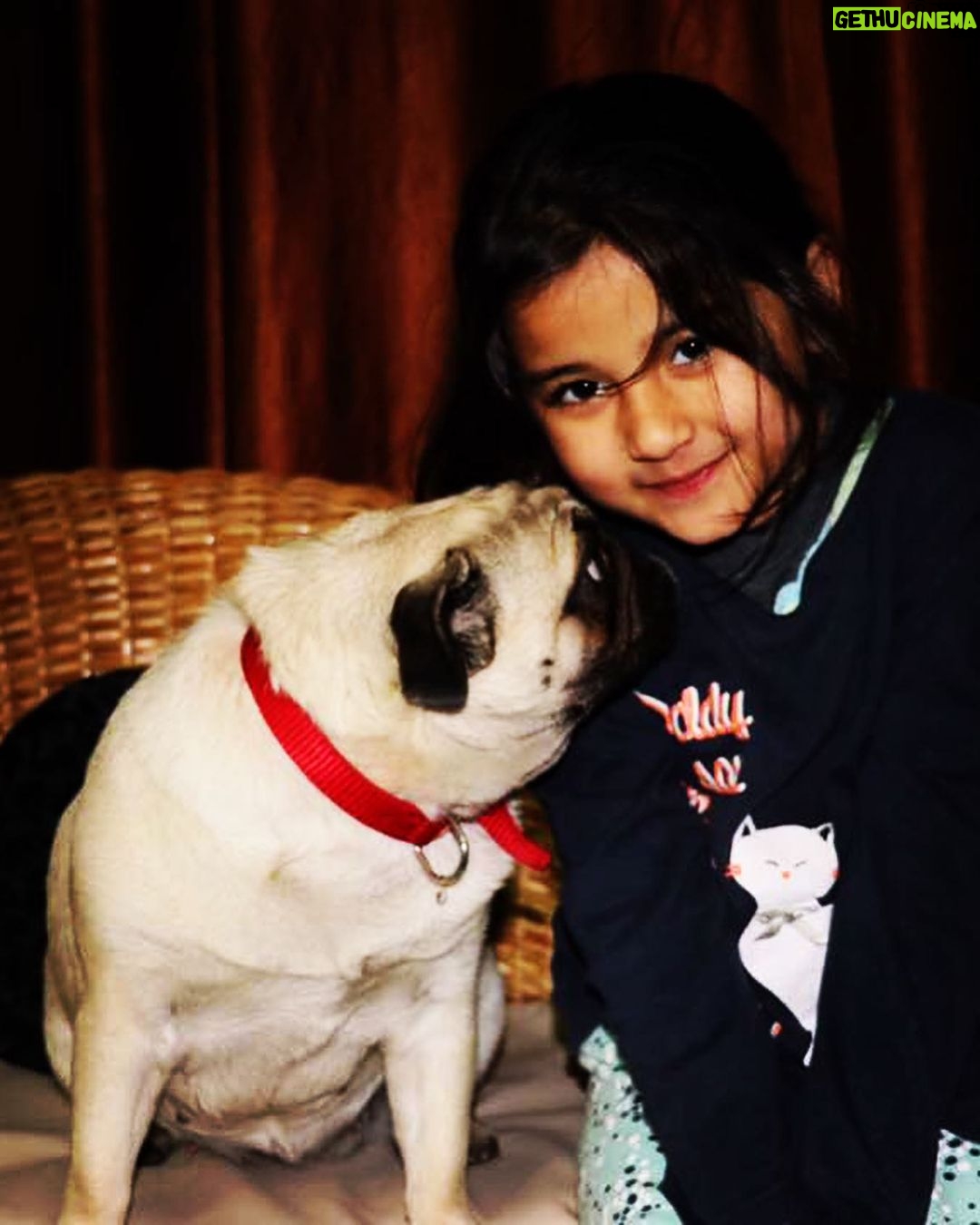 Aurra Bhatnagar Badoni Instagram - #throwback little me 😭✨🤍 It feels like it was just few seconds ago but it was 6 years back 😭 time flies so fast and travelling down the memory lane revokes feelings which can’t be described in words. 😭✨✨🥹 everyone says that u are so big now u we’re so small and I was like no I am the same but these photos, yaar I have grown really. life is short live it to the full. We only live once…. Missing Gracy big time 🐶 🥺 I just wanna hug her she was so small than n she is so big now 🥹