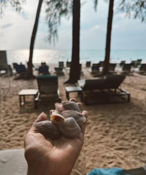 Avantika Hundal Instagram - Holiday dumpies 🐥