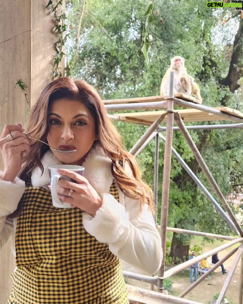 Bhagyashree Instagram - Not so blissful in a minute..!!😜 #lookwhathappened #shootstories #bts #shootmode #nainital