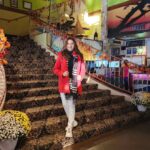 Bhagyashree Instagram - USA photodump A short trip of 5 days over Austin, Houston, Edison, New York.🙆‍♀️ #traveldiaries #traveltalesbyb #usa #travel #foodtales