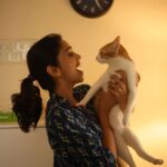 Bhagyashree Limaye Instagram - When will my cats ever pose for me? 🙄 #catmom #funnycreatures #struggles #catsofinstagram #friday 📷 @shrutisbagwe