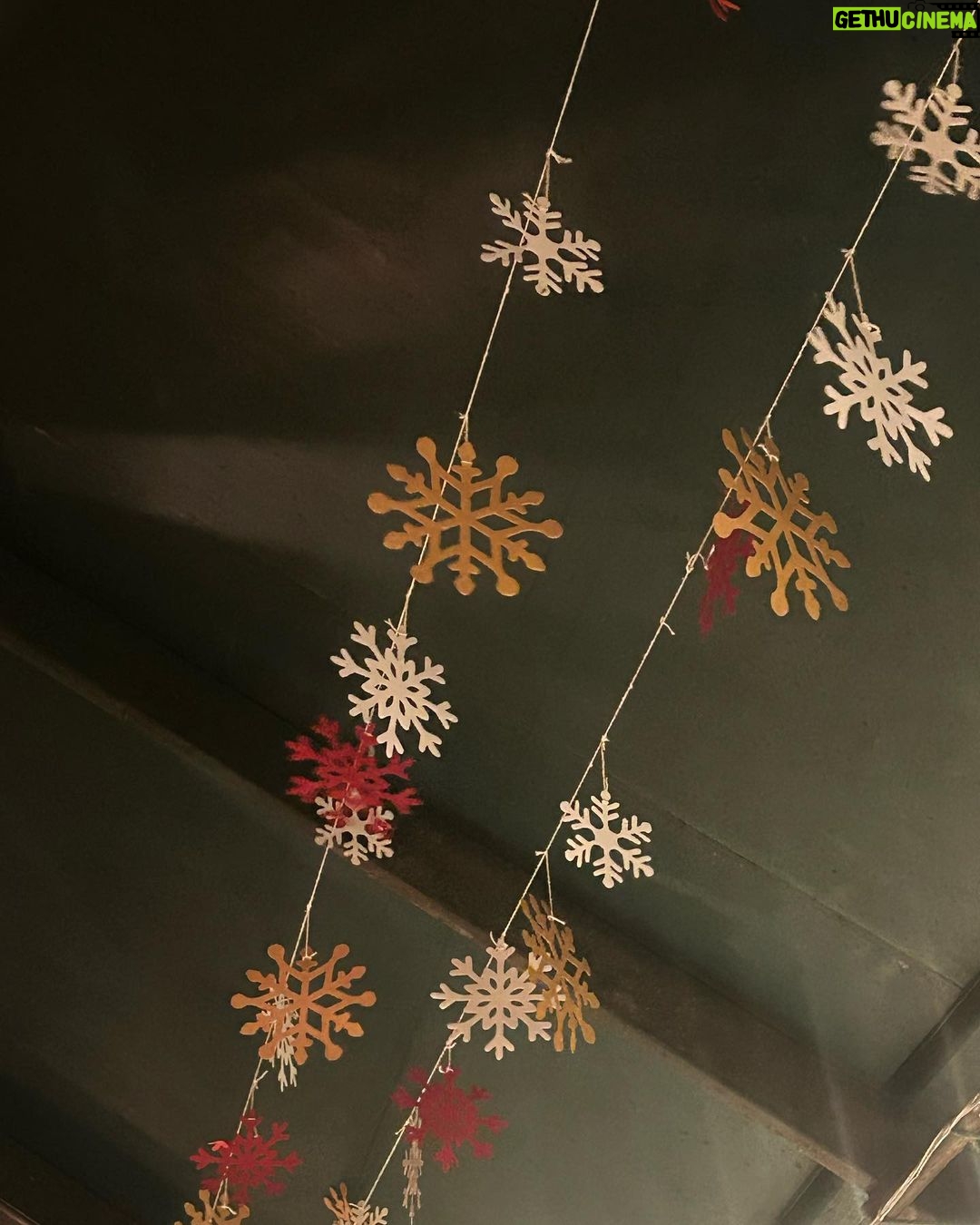 Bhagyashree Mote Instagram - All that’s merry merry!🎄🎊🥮 Happy Holidays!🥳