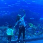 Bhama Instagram - 💙 Dubai Aquarium & Underwater Zoo by Emaar