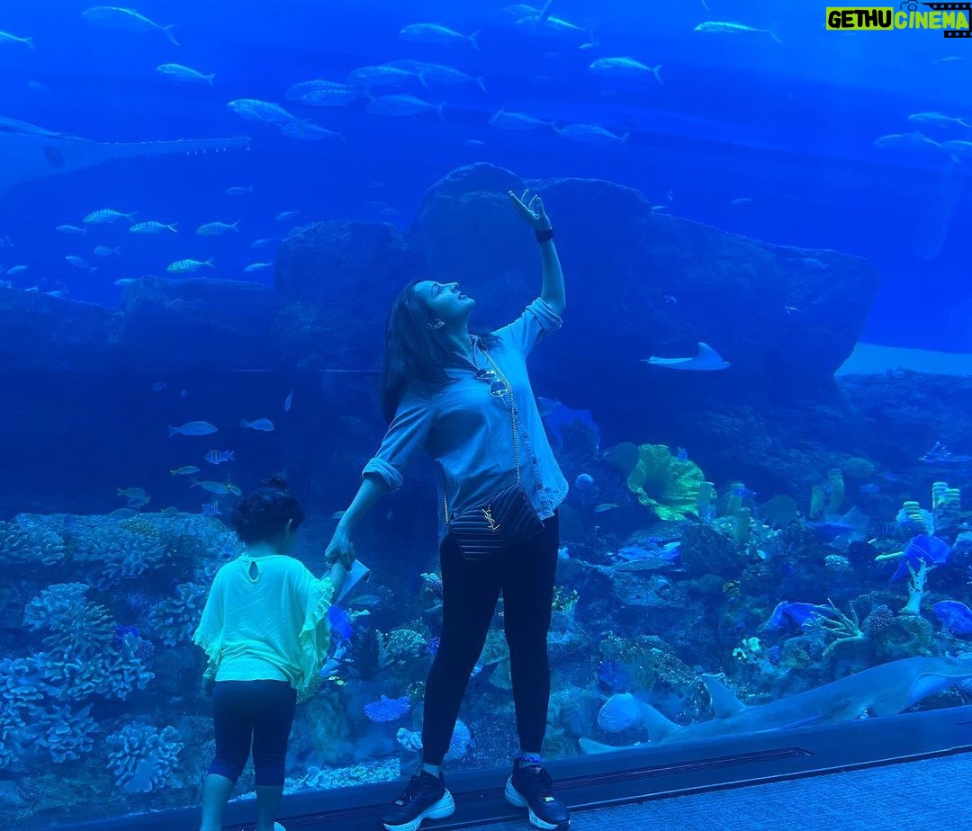 Bhama Instagram - 💙 Dubai Aquarium & Underwater Zoo by Emaar