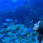 Bhama Instagram – 💙 Dubai Aquarium & Underwater Zoo by Emaar