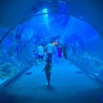 Bhama Instagram - 💙 Dubai Aquarium & Underwater Zoo by Emaar