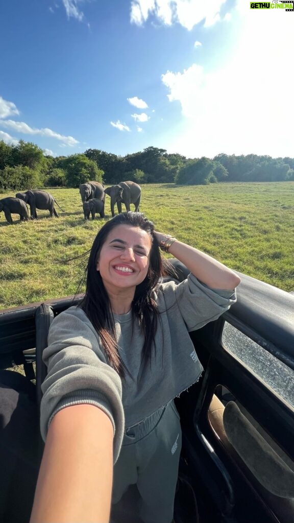 Bhavini Purohit Instagram - It was so much fun going to Safari n meet this Baby Elephants, Srilanka ♥️ . @goldcoastfilmsofficial @destination_srilanka . #seeingisbelievingsl #visitsrilanka #flysrilankan #srilankanairlines #NamasteFromSrilanka #influencer #staycation #srilanka #travel #bhavinipurohit