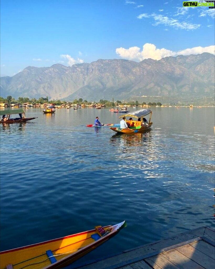 Bhoomika Dash Instagram - Piece of heaven 🏔️ Finally at my dream destination ❤️ Dal Lake, Srinagar, Jammu & Kashmir
