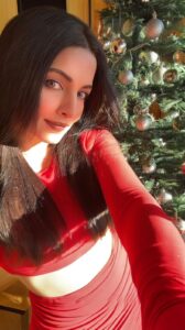Celina Jaitly Instagram - Embracing the festive vibes with this Christmas mashup! 🎅✨ Sung by the amazing @celinajaitlyofficial 💫 Use this audio for your christmas reels 💯 @celinajaitlyofficial : “With this song I pray for last Christmas which had more peace in the world than this one “ Ps :- Wishing everyone a joyful season filled with warmth, snowflakes, and the magic of the holidays. ❄️🎄 #Christmas #lastchristmas #dilmerachurayakyun #celinajaitly #anshuman #mashup #trending #bollywood #missindia #missuniverse
