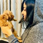 Chandini Sreedharan Instagram - Thank you to everyone who sent me love & well wishes on my birthday today! 🥰 Here’s a little peek of this bundle of joy that has come into my life… My TEDDY 🐻🩵 @teddy.thepoohbear #TeddyThePoohBear #ToyPoodle #BirthdayLove
